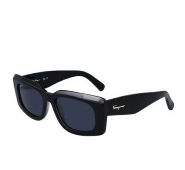 SALVATORE FERRAGAMO SF1079 - 022- 54