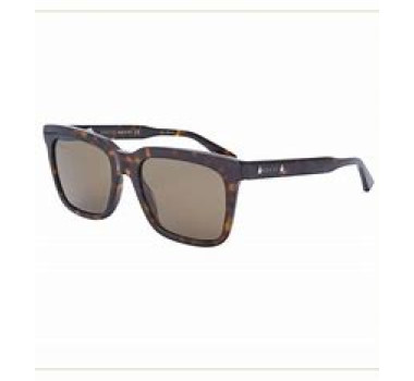 GUCCI   GG0267S 002 53-19 145  