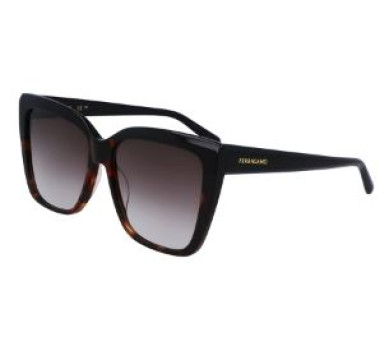 SALVATORE FERRAGAMO SF1102 006 50