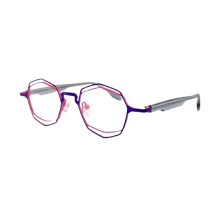 FAST EYEWEAR  Titanium – MOD. 229 C24 46 19 145 