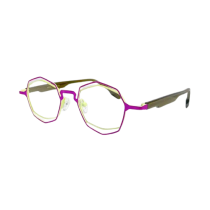 FAST EYEWEAR  Titanium – MOD. 229 C49 46 19 145 