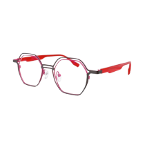 FAST EYEWEAR  TITANIUM – MOD. 230 C1 46 20 145