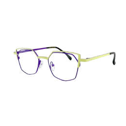 FAST EYEWEAR – MOD. 239 C45-24 47 23 145